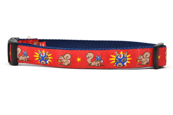 Lucha Squirrels - Tulip - Dog Collars