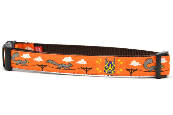 Lucha Squirrels - Sparky - Dog Collars